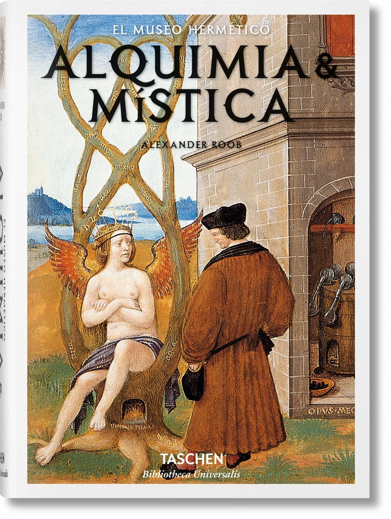 Libri Alexander Roob - Alquimia & Mistica (Spanish Edition) NUOVO SIGILLATO, EDIZIONE DEL 11/01/2023 SUBITO DISPONIBILE