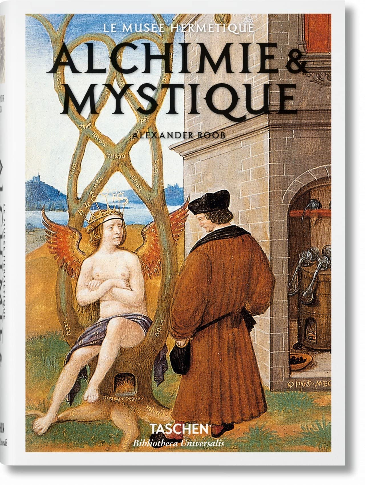 Libri Alexander Roob - Alchimie & Mystique (French Edition) NUOVO SIGILLATO SUBITO DISPONIBILE