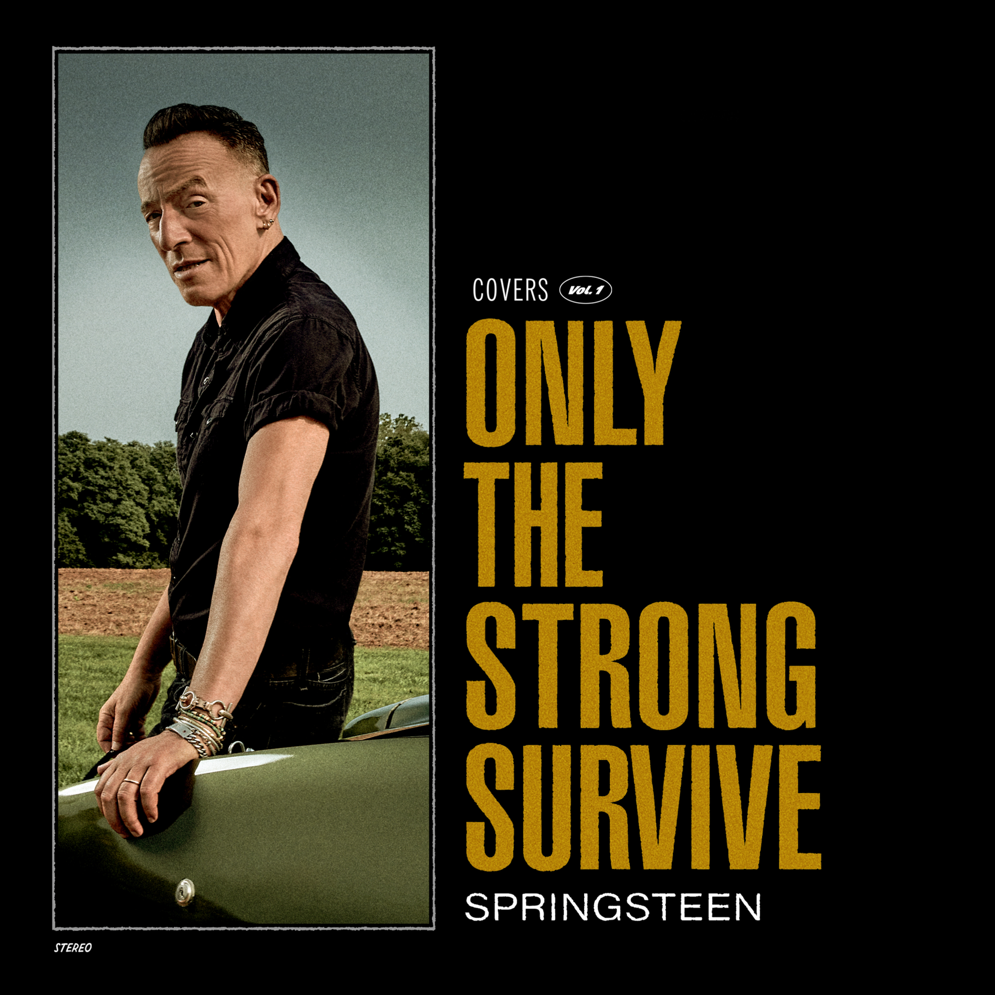 Vinile Bruce Springsteen - Only The Strong Survive NUOVO SIGILLATO, EDIZIONE DEL 11/11/2022 SUBITO DISPONIBILE