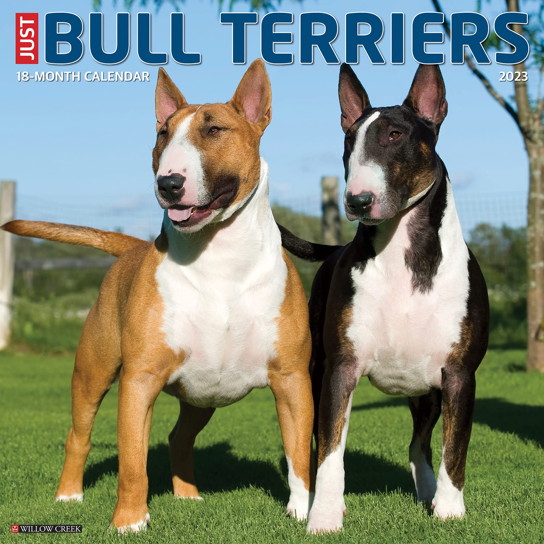 Calendari Willow Creek Press - Just Bull Terriers 2023 Wall Calendar NUOVO SIGILLATO, EDIZIONE DEL 15/08/2022 SUBITO DISPONIBILE