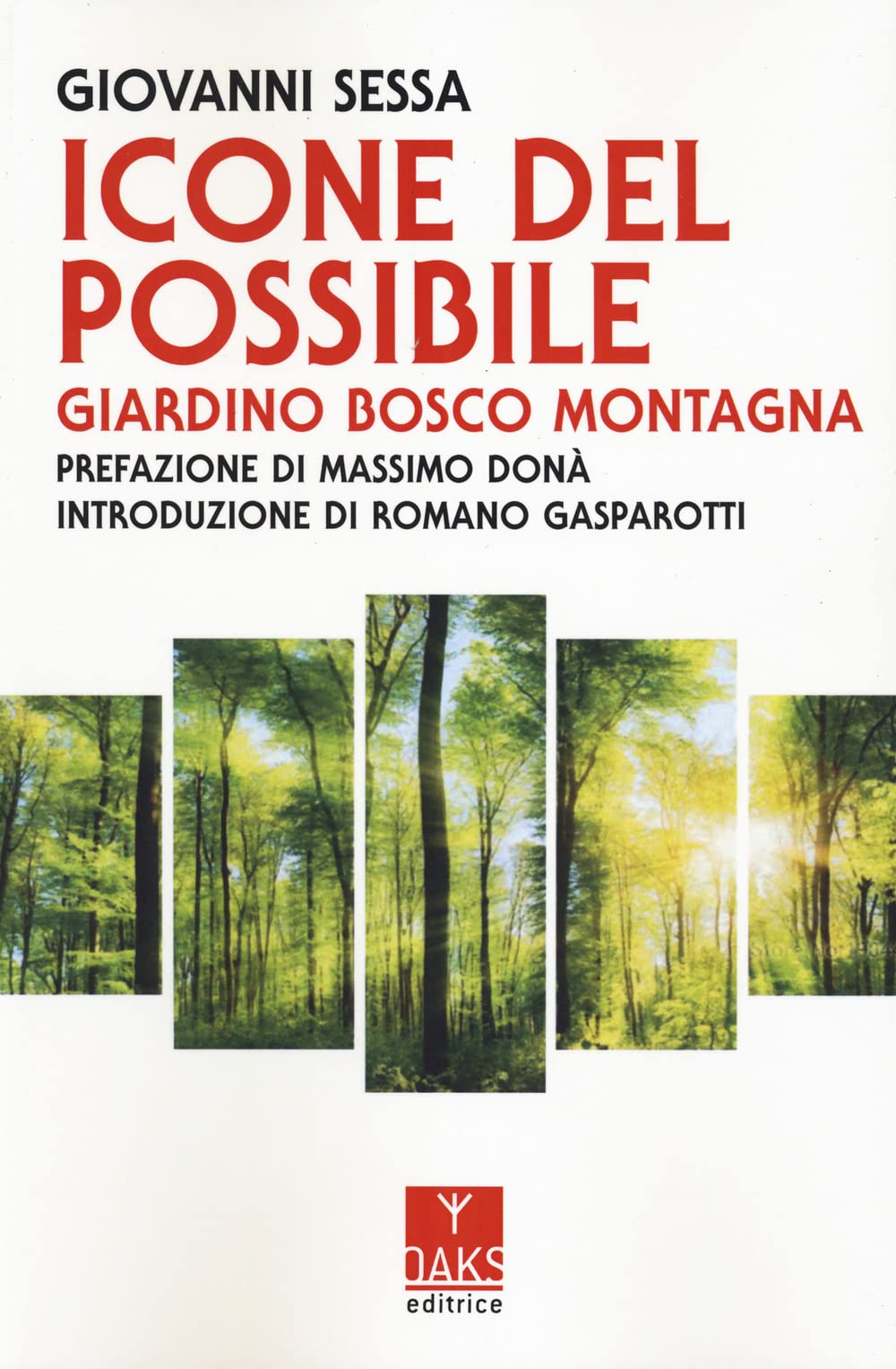 Libri Giovanni Sessa - Icone Del Possibile. Giardino, Bosco, Montagna NUOVO SIGILLATO, EDIZIONE DEL 31/05/2023 SUBITO DISPONIBILE