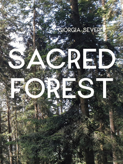 Libri Giorgia Severi. Sacred Forest. Ediz. Illustrata NUOVO SIGILLATO, EDIZIONE DEL 17/01/2023 SUBITO DISPONIBILE