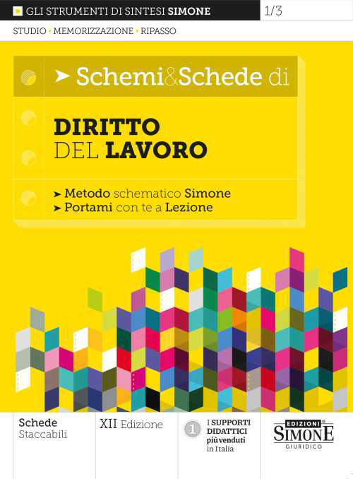 Libri Schemi & Schede Di Diritto Del Lavoro NUOVO SIGILLATO, EDIZIONE DEL 03/02/2023 SUBITO DISPONIBILE