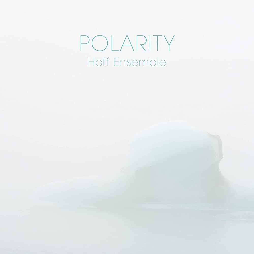 Vinile Hoff Ensemble - Polarity - An Acoustic Jazz Project NUOVO SIGILLATO EDIZIONE DEL SUBITO DISPONIBILE