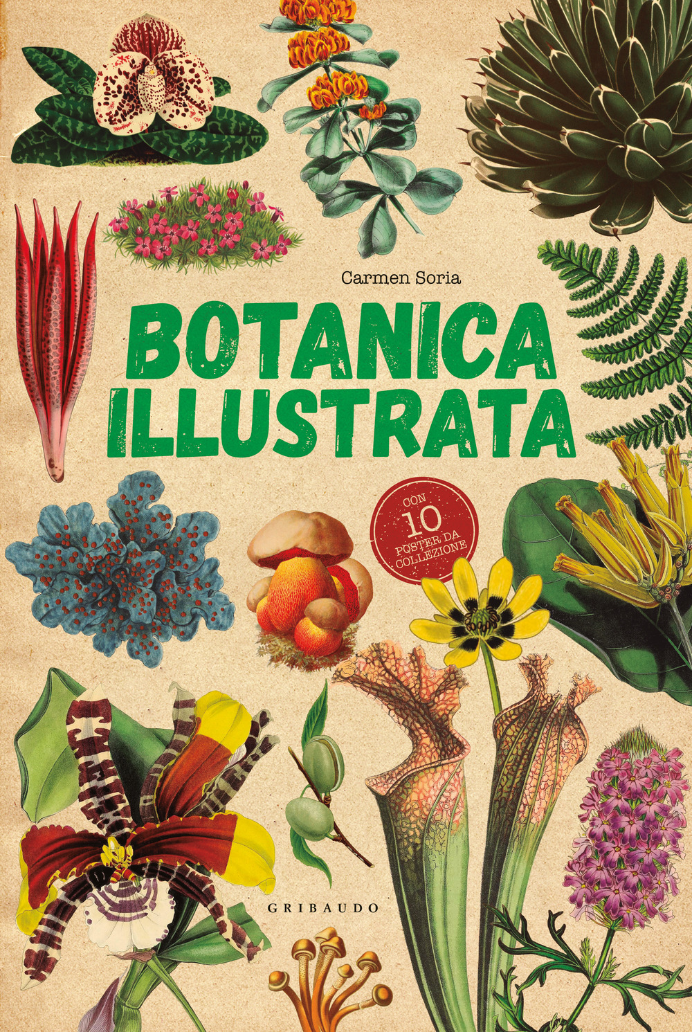 Libri Soria Carmen - Botanica Illustrata. Con 10 Poster NUOVO SIGILLATO, EDIZIONE DEL 24/10/2023 SUBITO DISPONIBILE