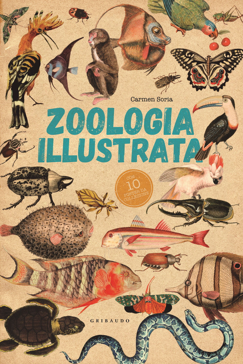 Libri Soria Carmen - Zoologia Illustrata. Con 10 Poster NUOVO SIGILLATO, EDIZIONE DEL 24/10/2023 SUBITO DISPONIBILE