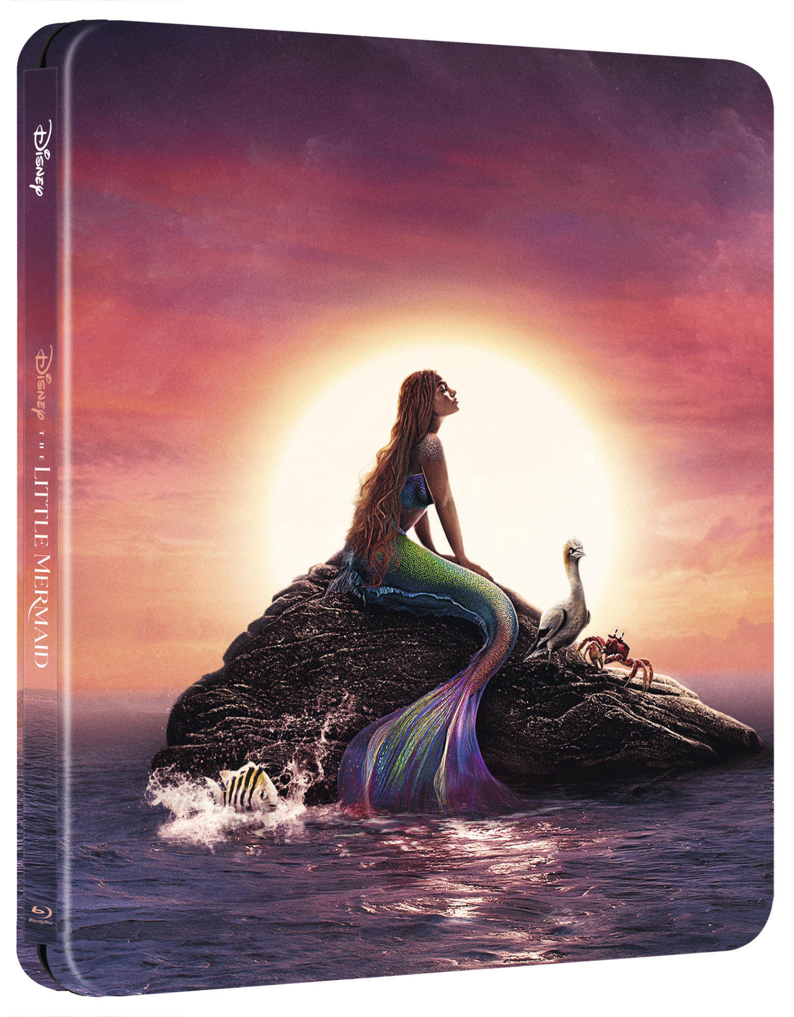 Blu-Ray 4K Uhd Sirenetta (La) (Live Action) (Steelbook) (4K Ultra Hd+Blu-Ray Hd) NUOVO SIGILLATO, EDIZIONE DEL 20/09/2023 SUBITO DISPONIBILE