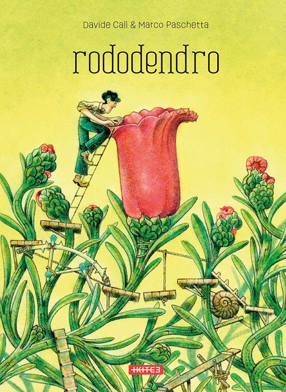 Libri Davide CalÃ¬ / Paschetta Marco - Rododendro. Ediz. Illustrata NUOVO SIGILLATO, EDIZIONE DEL 16/10/2023 SUBITO DISPONIBILE