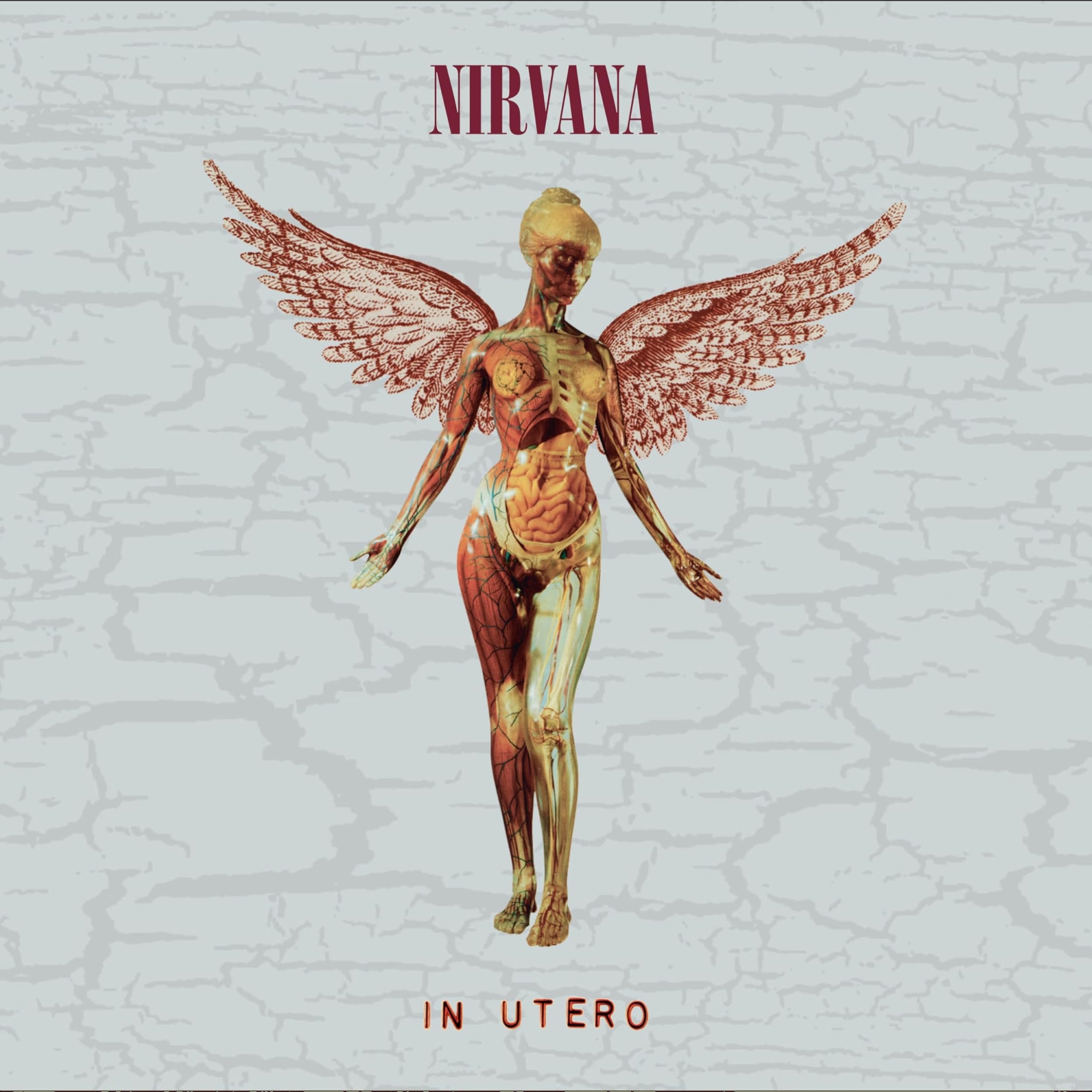 Audio Cd Nirvana - In Utero (30Th Anniversary Super Deluxe) (5 Cd+Memorabilia) NUOVO SIGILLATO, EDIZIONE DEL 27/10/2023 SUBITO DISPONIBILE