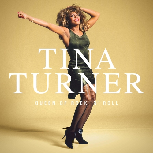 Vinile Tina Turner - Queen Of Rock 'N' Roll (5 Lp) NUOVO SIGILLATO, EDIZIONE DEL 24/11/2023 SUBITO DISPONIBILE
