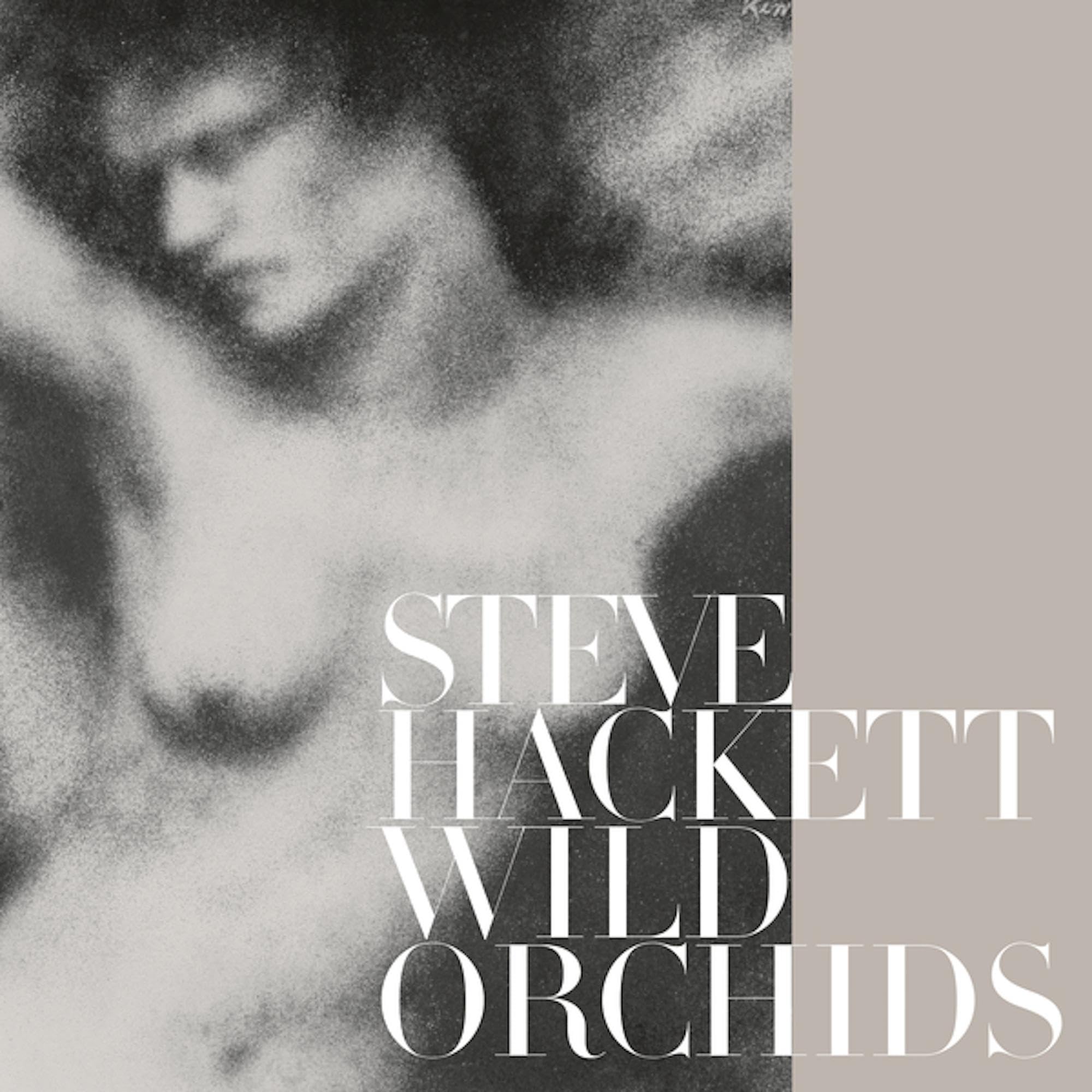 Vinile Steve Hackett - Wild Orchids (Vinyl Re-Issue 2023) (2 Lp) NUOVO SIGILLATO, EDIZIONE DEL 08/12/2023 SUBITO DISPONIBILE