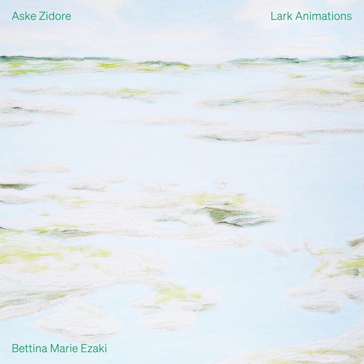 Vinile Aske Zidore - Lark Animations NUOVO SIGILLATO EDIZIONE DEL SUBITO DISPONIBILE